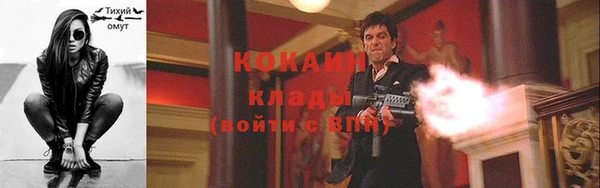 дживик Алзамай