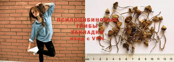 мяу мяу мука Приозерск