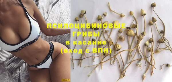 прущая мука Алексин